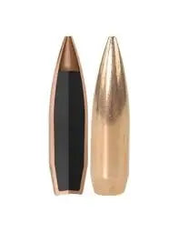Nosler Competition 338" 300gr HPBT NOSLER